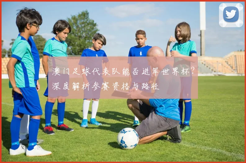 澳门足球代表队能否进军世界杯？深度解析参赛资格与路径