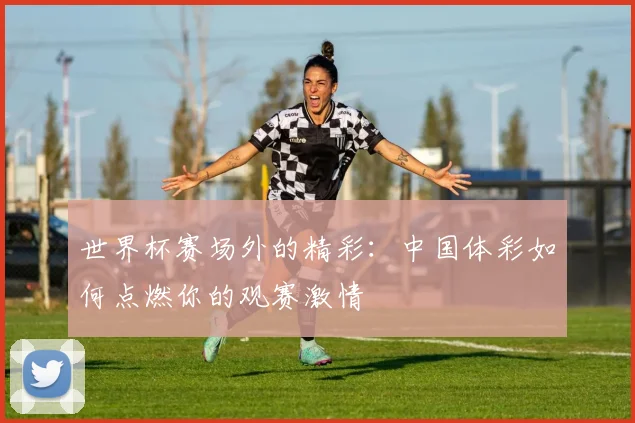 世界杯赛场外的精彩：中国体彩如何点燃你的观赛激情