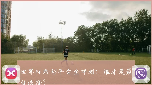 世界杯购彩平台全评测：谁才是最佳选择？