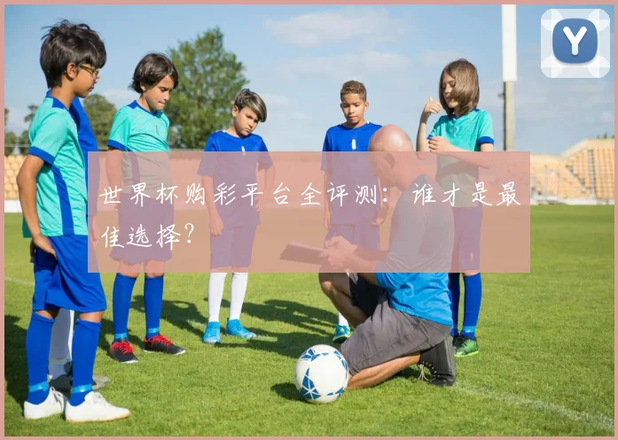 世界杯购彩平台全评测：谁才是最佳选择？