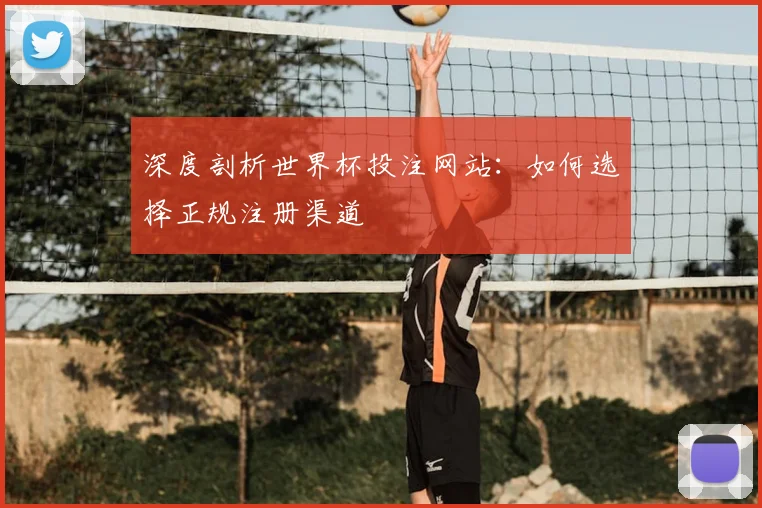 深度剖析世界杯投注网站：如何选择正规注册渠道