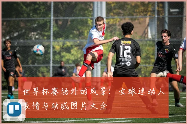 世界杯赛场外的风景：女球迷动人表情与助威图片大全