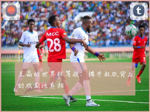 王晶的世界杯骂战：揭开狂欢背后的戏剧性真相