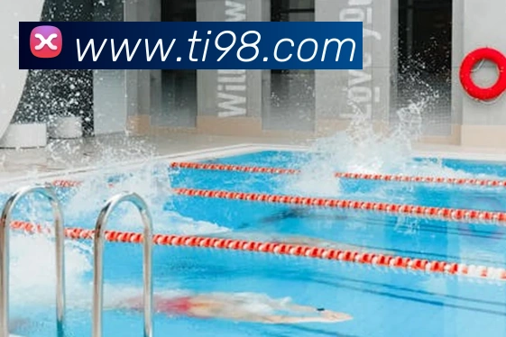 云开体育app官网入口appAPP 封面图